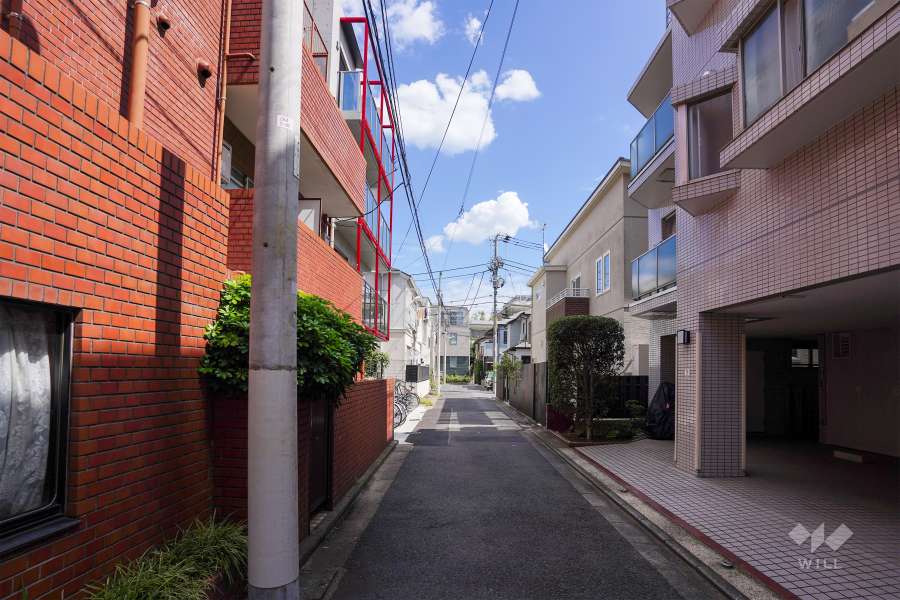 敷地南側からの前面道路（西側から）