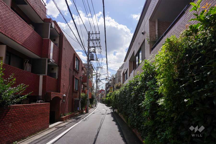 敷地西側の前面道路（北側から）