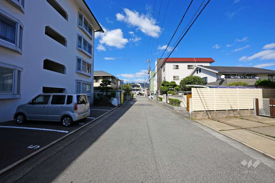 敷地西側の前面道路（北側から）