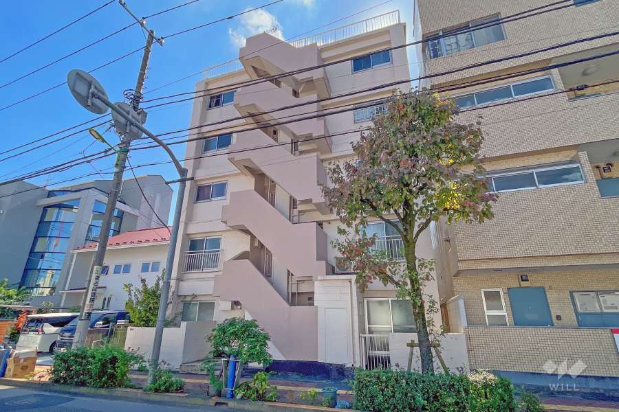 第１梅ヶ丘ハイムの外観（北西側から）
