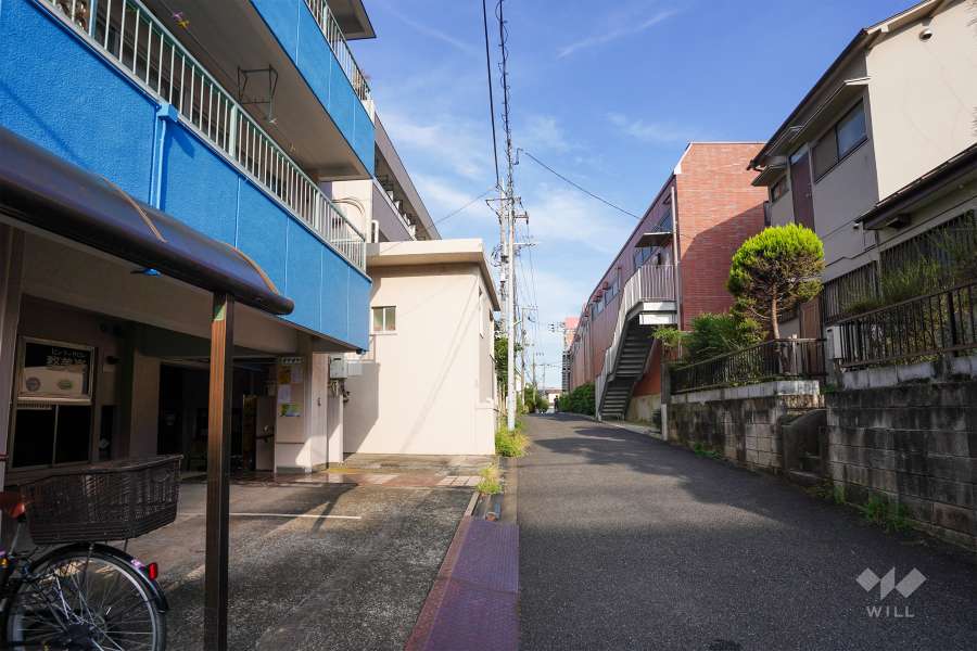 敷地南側の前面道路（西側から）