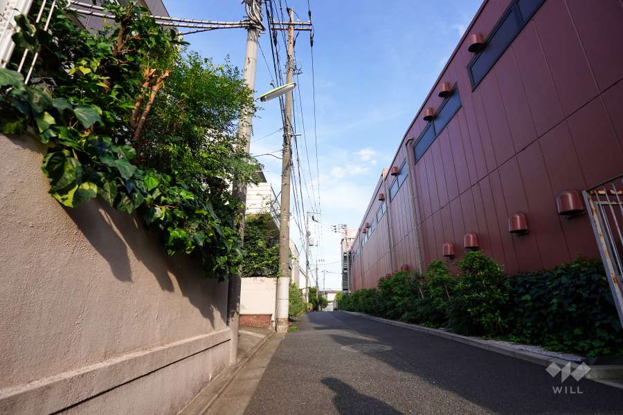 敷地南側の前面道路（西側から）