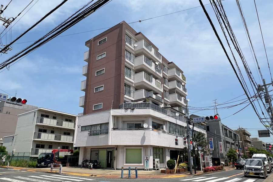 梅ヶ丘アイワマンションの外観(南西側から)　　