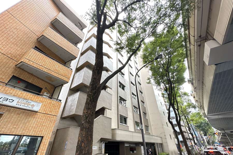 ライオンズマンション松原の外観（北東側から）