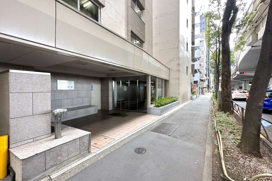 敷地北側の前面道路（東側から）