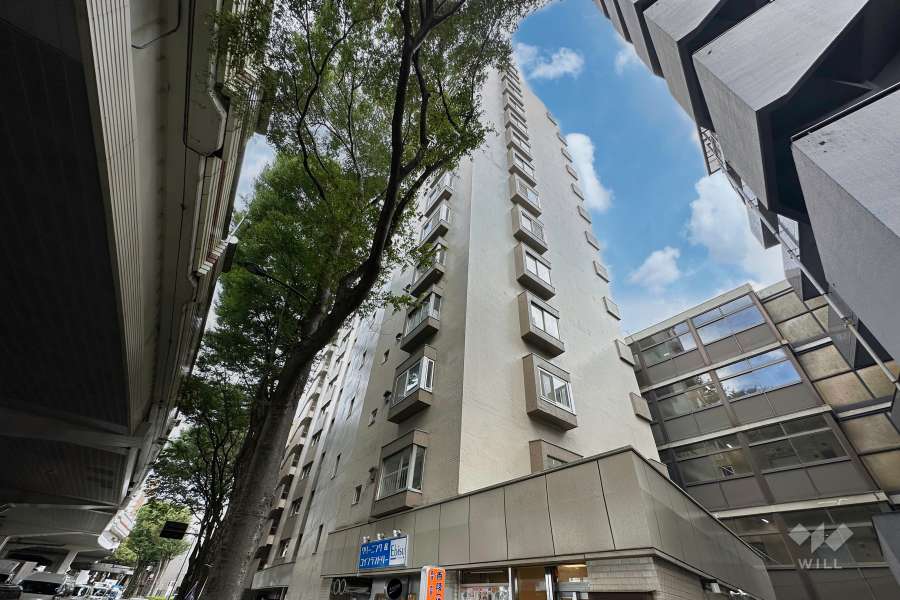 ライオンズマンション松原の外観（北西側から）