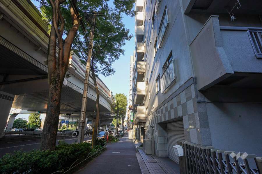 敷地北側の前面道路（西側から）
