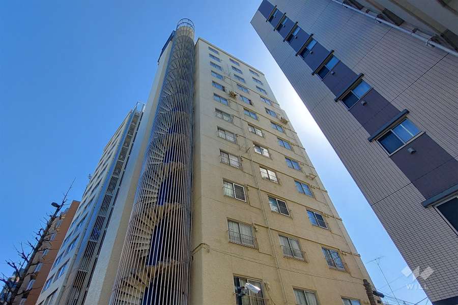 サンドエル松原外の外観(北西側から)