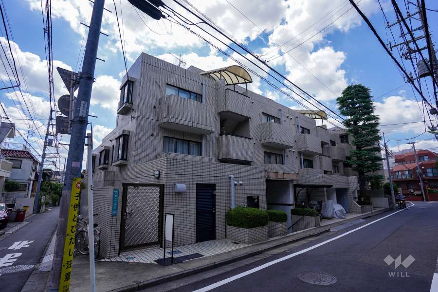 ノトス松原の外観（北東側から）