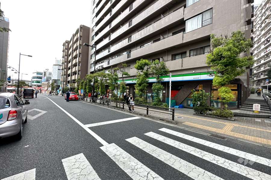 敷地東側の前面道路（北側から）