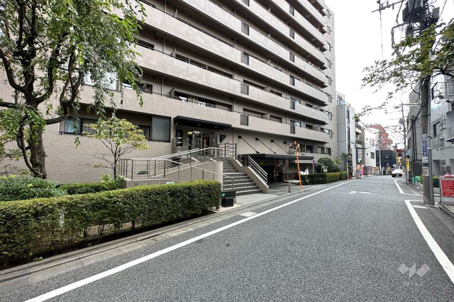 敷地西側の前面道路（北側から）