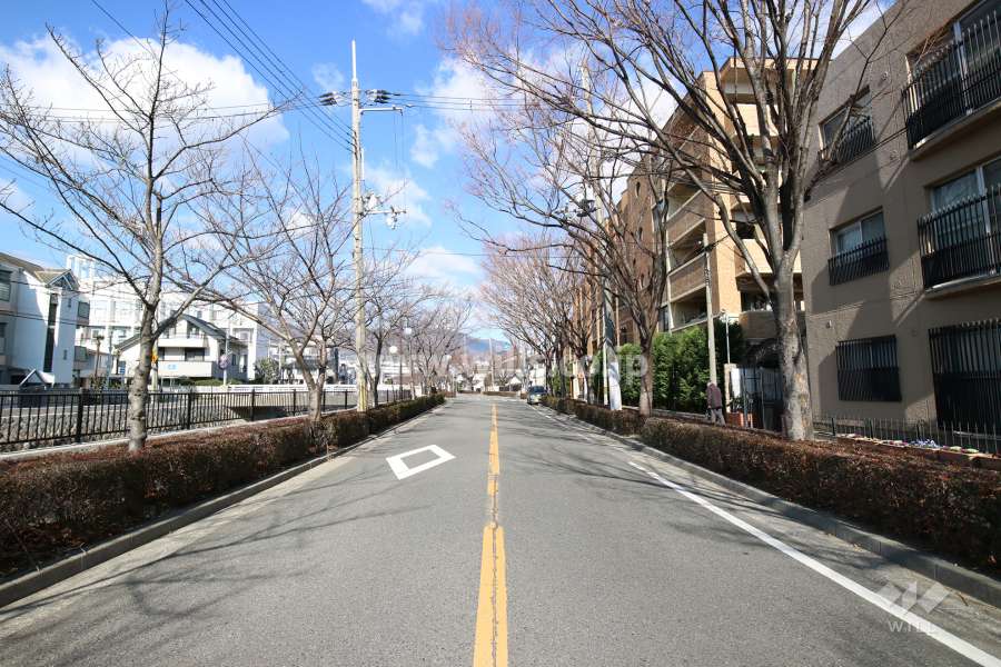 敷地西側の前面道路