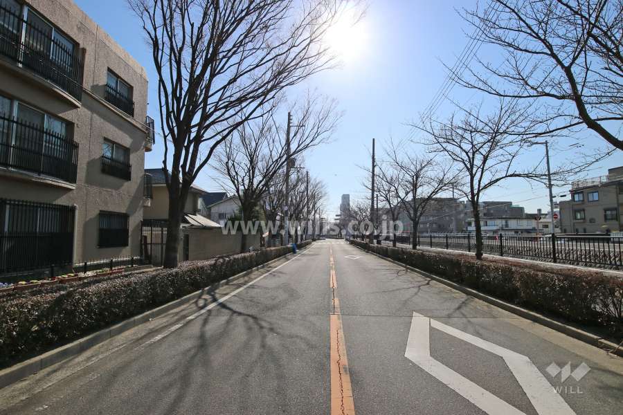 敷地西側の前面道路