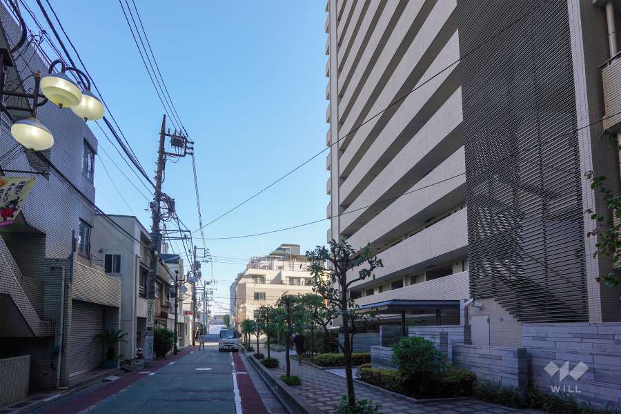 敷地東側の前面道路（北側から）