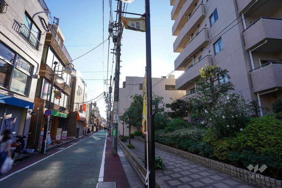 敷地南側の前面道路（東側から）