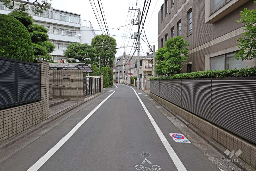 敷地北側の前面道路（西側から）