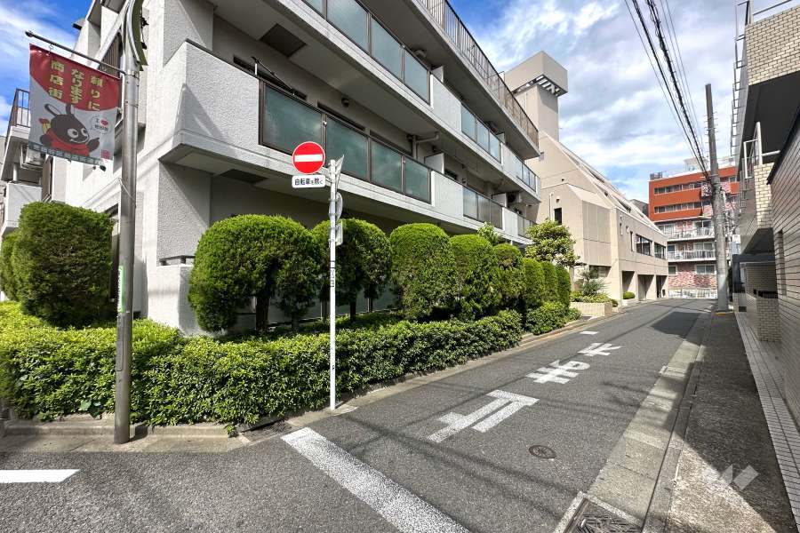 敷地南側の前面道路（西側から）