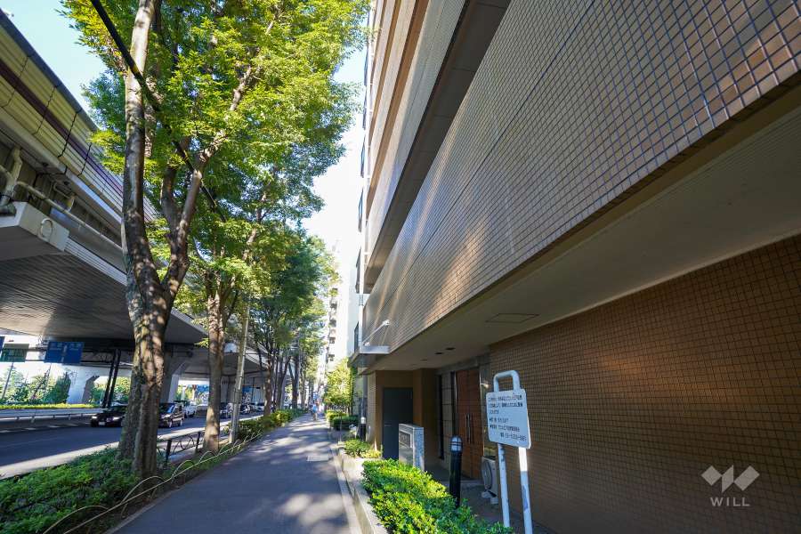 敷地北側の前面道路（西側から）