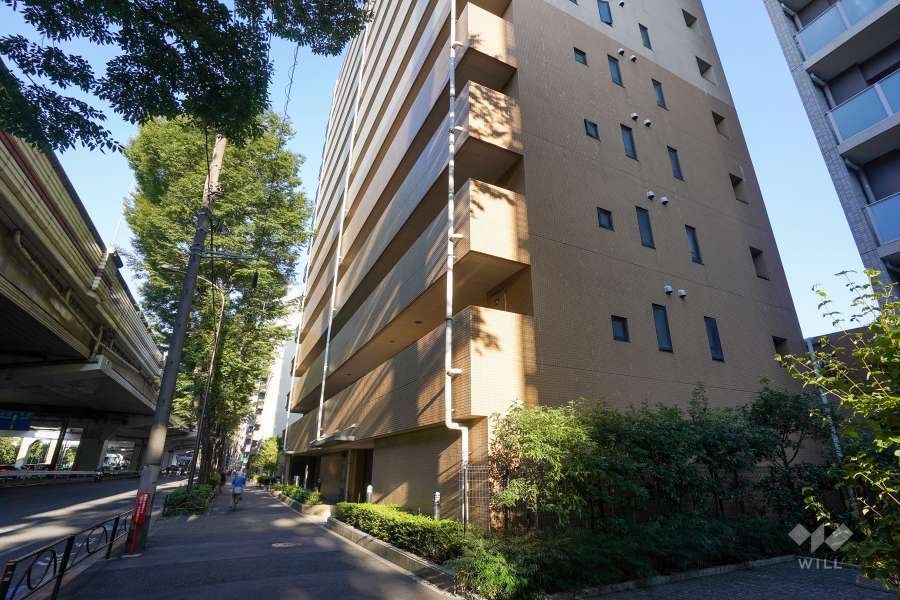 敷地北側の前面道路（西側から）