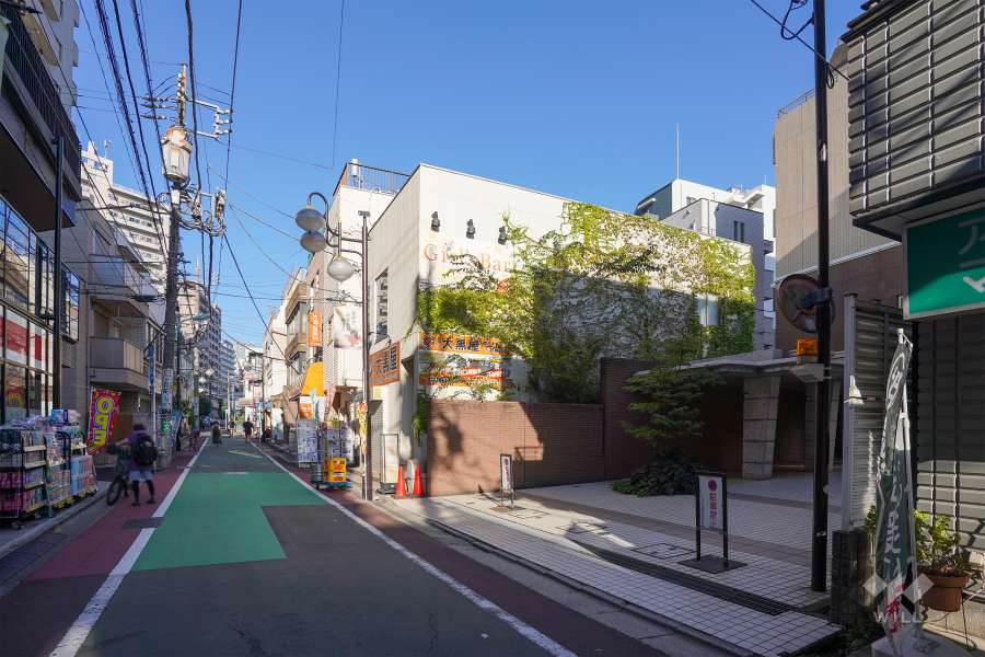 敷地北側の前面道路（西側から）