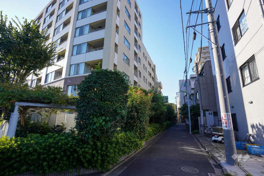 敷地東側の前面道路（南側から）