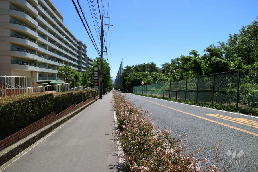 敷地南側の前面道路