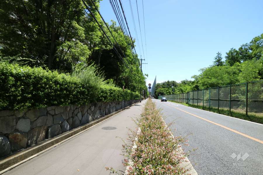 敷地南側の前面道路