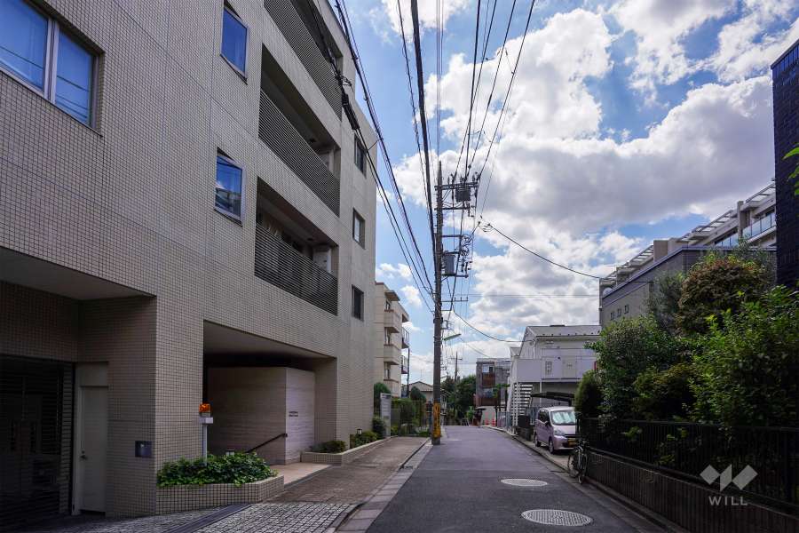 敷地東側の前面道路（北側から）