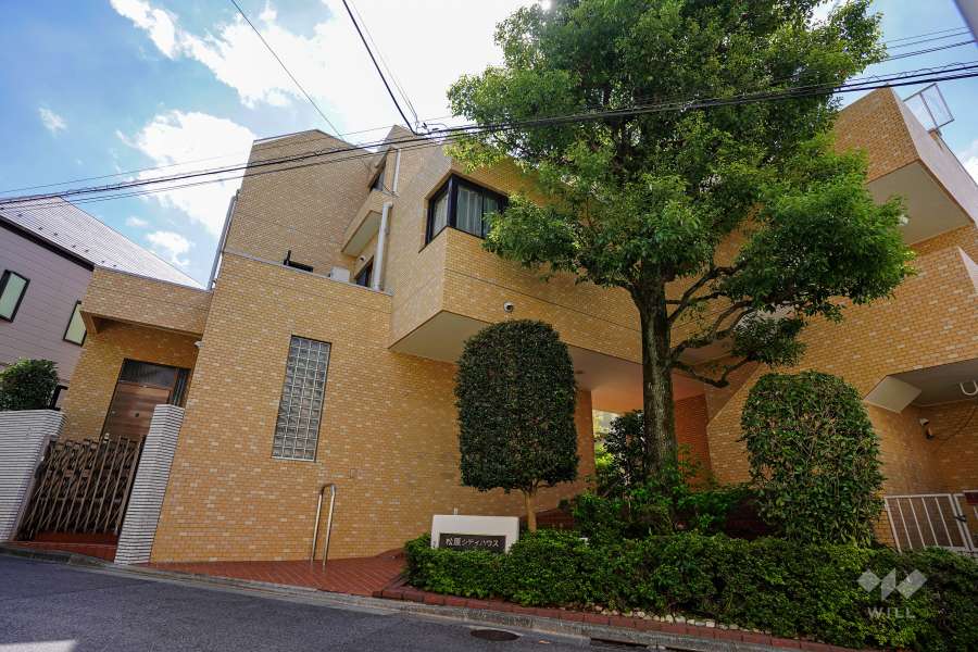 松原シティハウスの外観（北西側から）