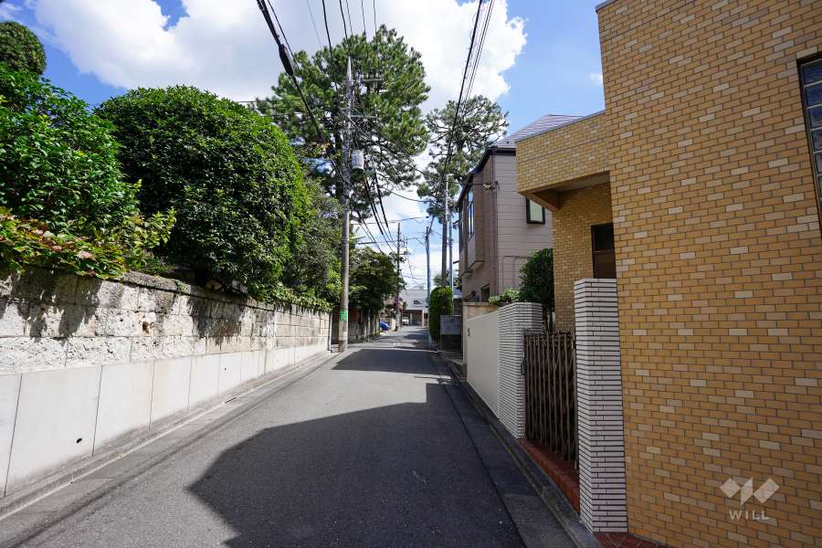 敷地北側の前面道路（西側から）