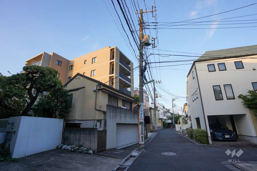 敷地南側の前面道路（西側から）