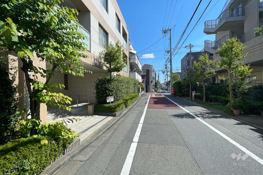 敷地南側の前面道路　