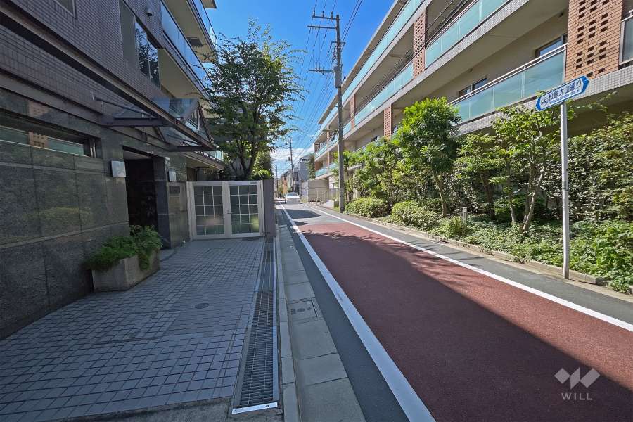 敷地西側の前面道路は松原大山通りです（北側から）。