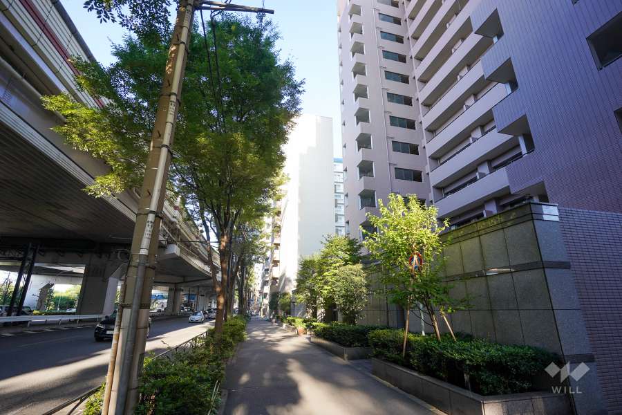 敷地北側の前面道路（西側から）