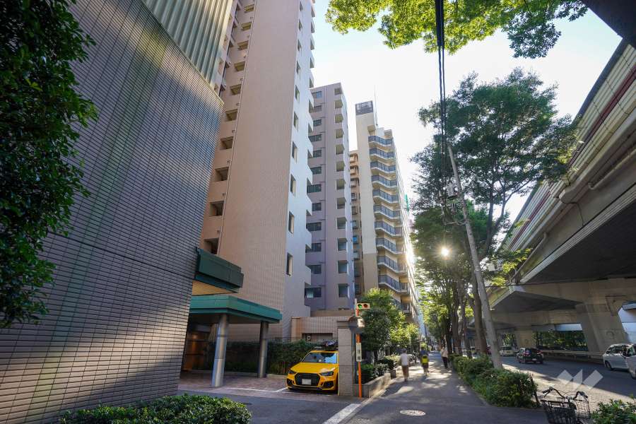 敷地北側の前面道路（東側から）