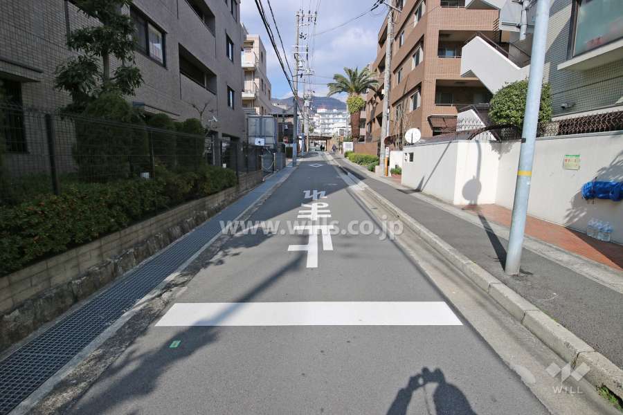 敷地西側の前面道路（南側から）