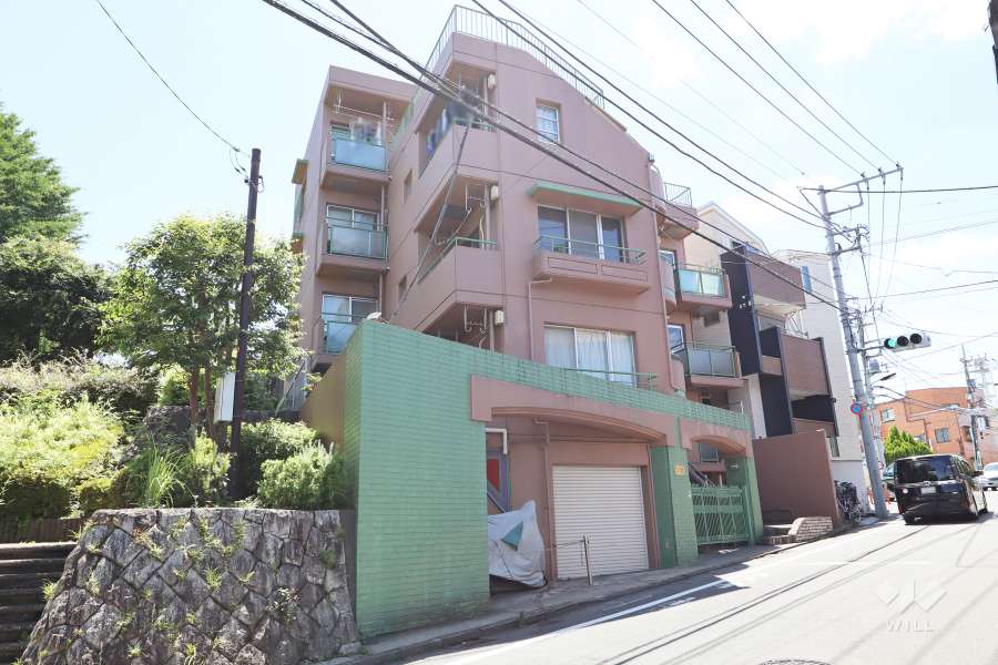 スターハイツ上祖師谷の外観（北東側から）　