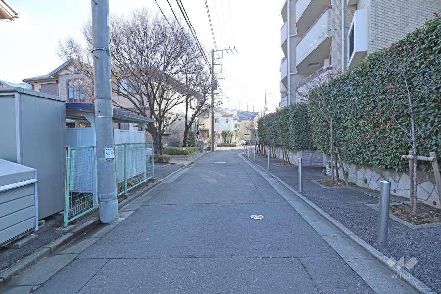 敷地東側の前面道路　