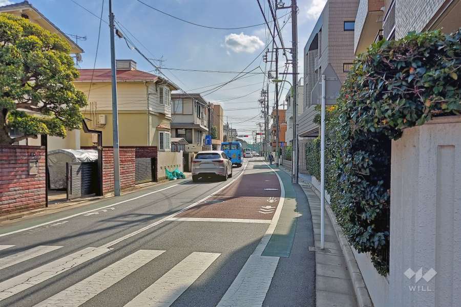 敷地南東側前面道路(北東側から)