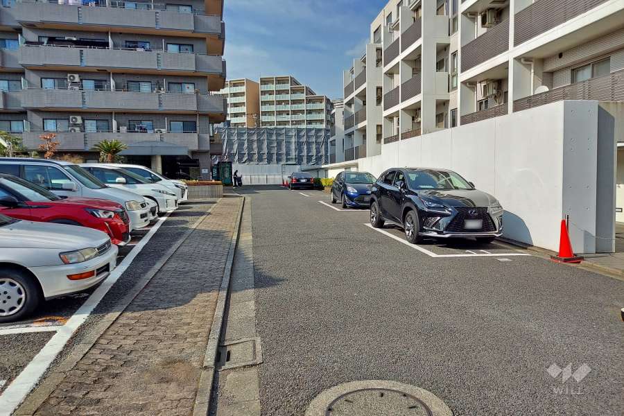 敷地西側の前面道路（南側から）