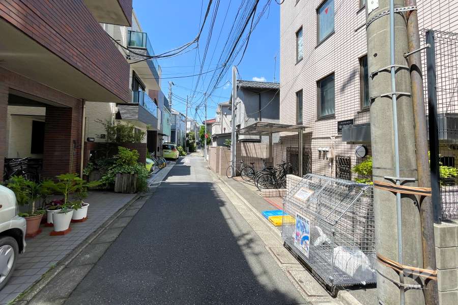 敷地南側の前面道路　