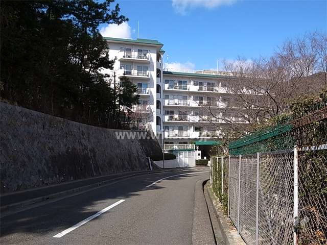 敷地の南西側は斜面地で、木々の緑がきれいです。