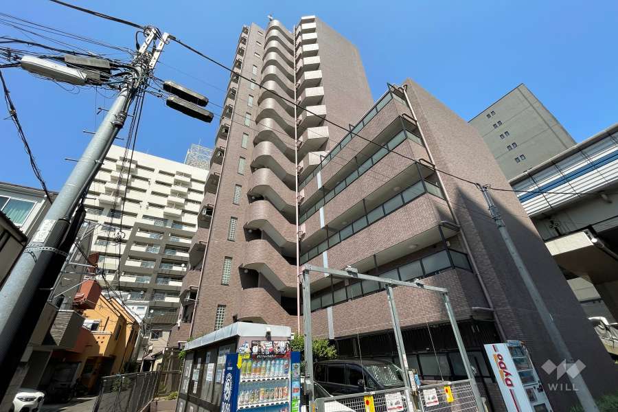 菱和パレス上馬の外観（南西側から）