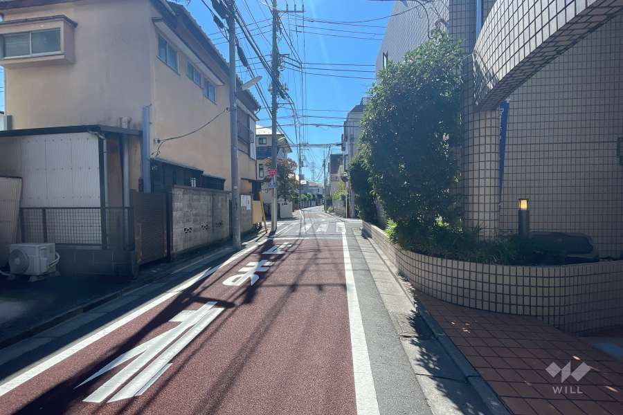 敷地東側の前面道路（北側から）