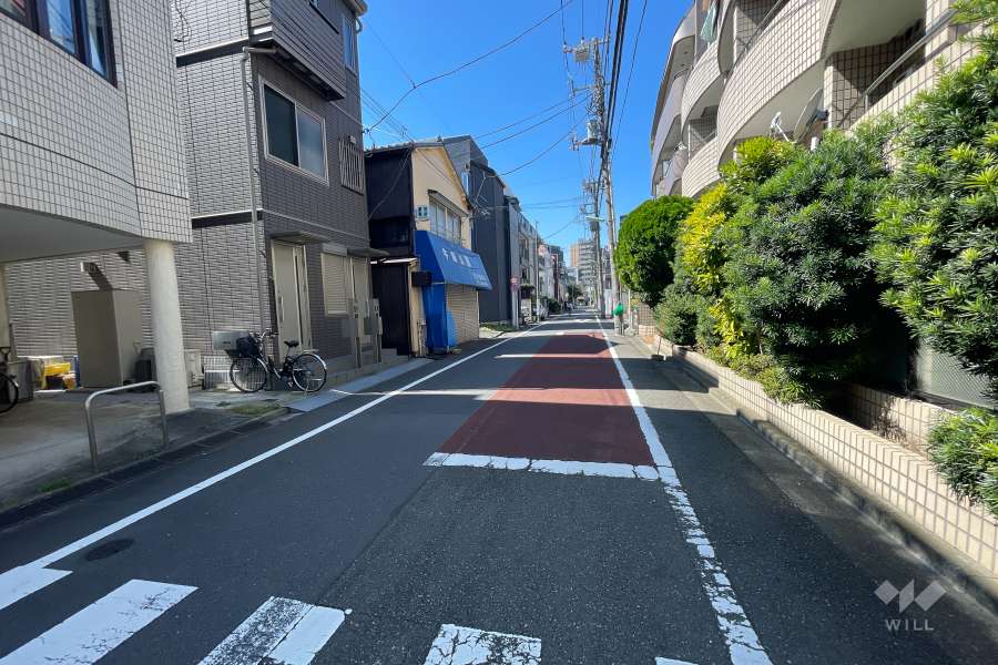 敷地西側の前面道路（東側から）