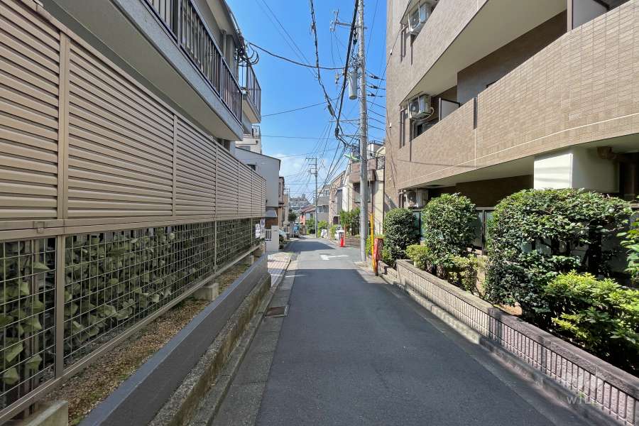 敷地西側の前面道路（南側から）