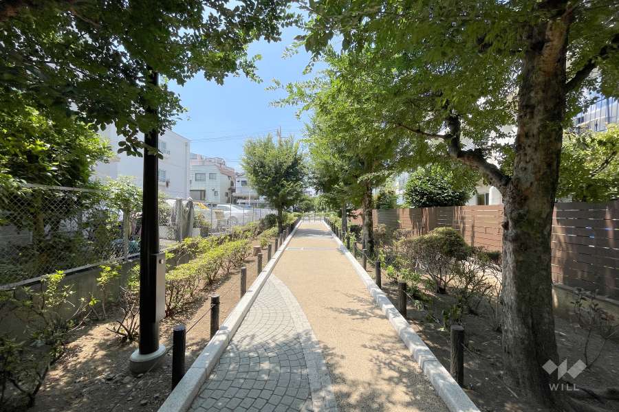 敷地南東側の前面道路