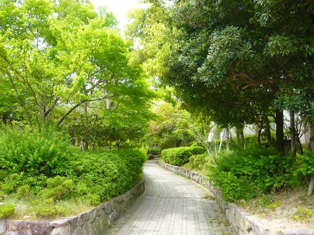 敷地の南側には緑道があります。