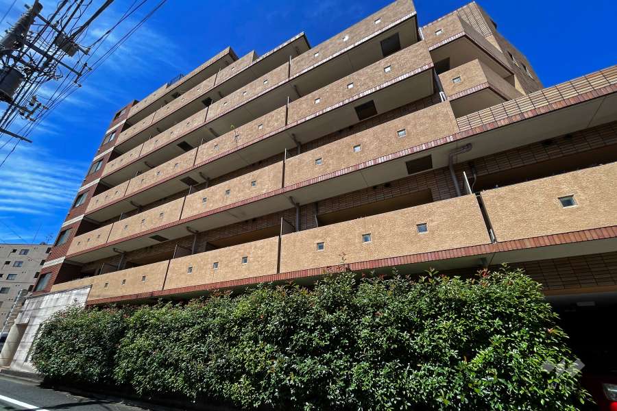 スターロワイヤル三軒茶屋の外観（北東側から）