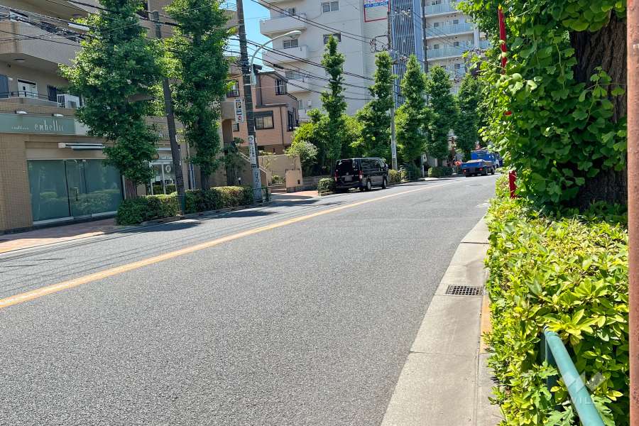 敷地の北西側前面道路(東側から)